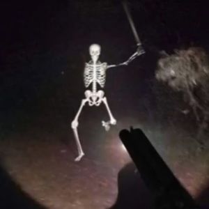 Meet your Posher, Seff